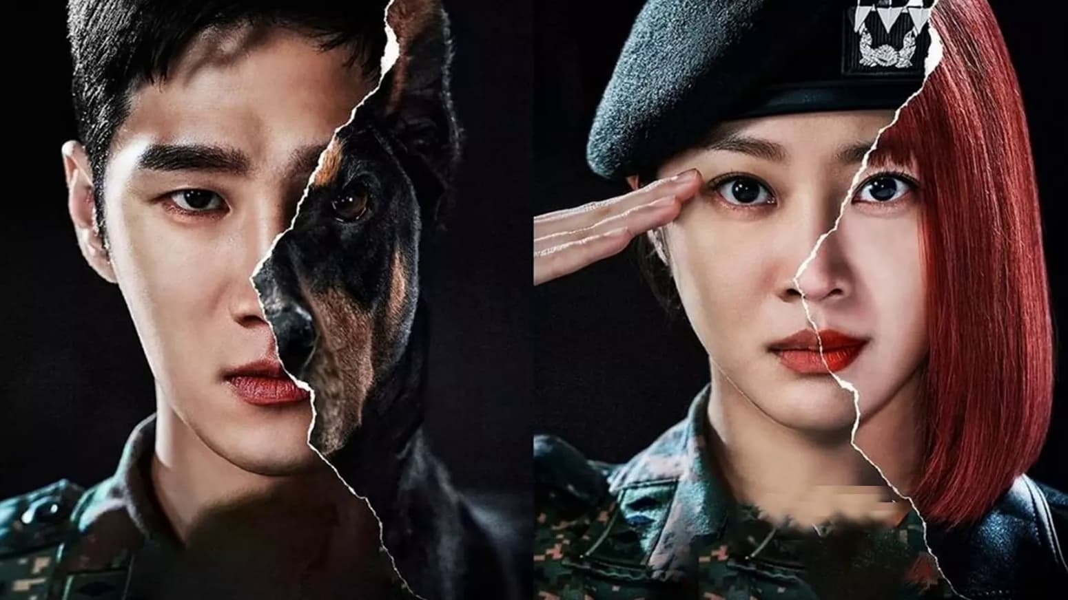 Series Insight Military Prosecutor Doberman สร้างจากเรื่องจริง